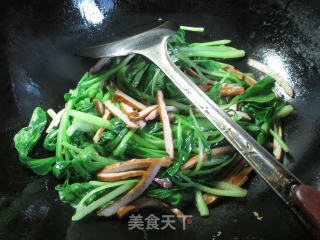 香干鸡毛菜炒面的做法步骤：3