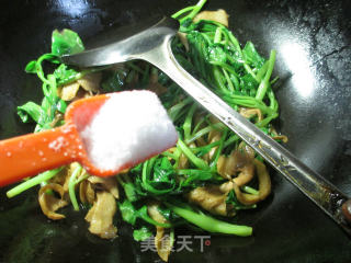 秀珍菇鸡毛菜面筋的做法步骤：6