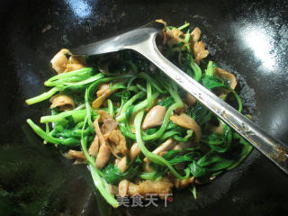 秀珍菇鸡毛菜面筋的做法步骤：8