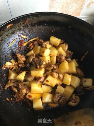 土豆烧鸡块的做法步骤：6
