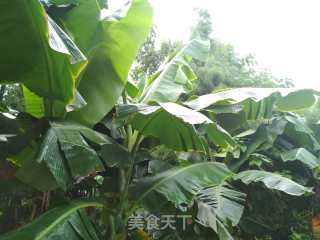 蕉叶蒸五花的做法步骤：1
