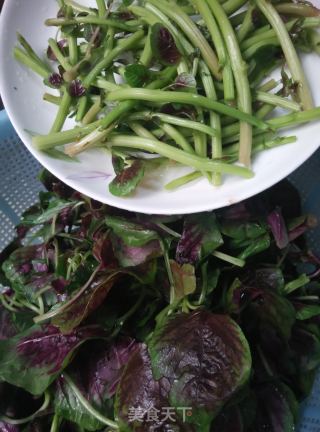 蒜炒红苋菜的做法步骤：2