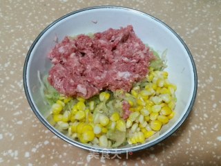 猪肉西瓜皮馅饺子的做法步骤：7
