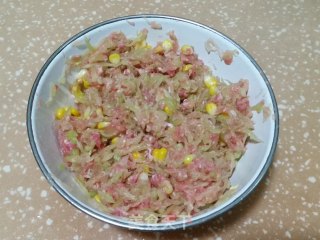 猪肉西瓜皮馅饺子的做法步骤：8