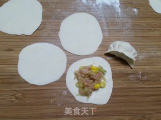 猪肉西瓜皮馅饺子的做法步骤：10