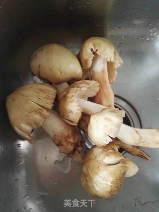鸡枞菌汤的做法步骤：2