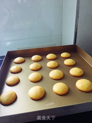 儿时的回忆-蛋黄饼干的做法步骤：10