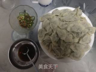 小白菜猪肉饺子的做法步骤：10