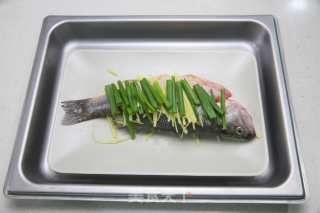 迪奥格斯食谱之清蒸鲈鱼的做法步骤：6