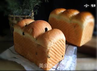 葡萄干吐司的做法步骤：19