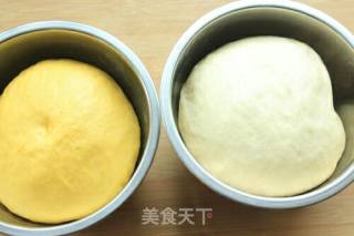 枸杞双色吐司的做法步骤：4