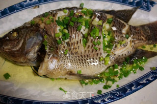 椒香罗非鱼的做法步骤：7
