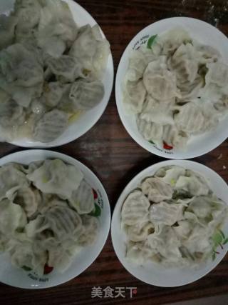 猪肉白菜饺子的做法步骤：9