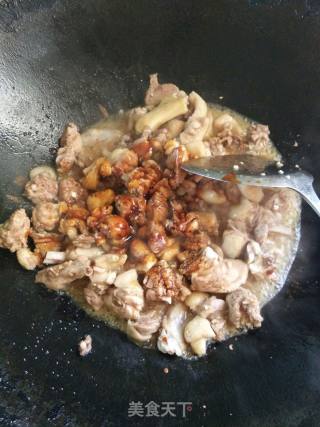 土豆焖鸭肉的做法步骤：3