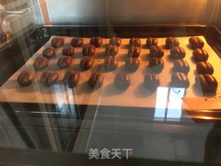 咖啡豆豆饼干的做法步骤：4