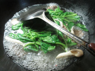 牛肉粉丝汤的做法步骤：4