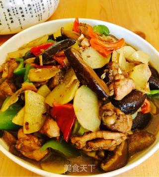 家常炖鸡腿儿的做法步骤：15