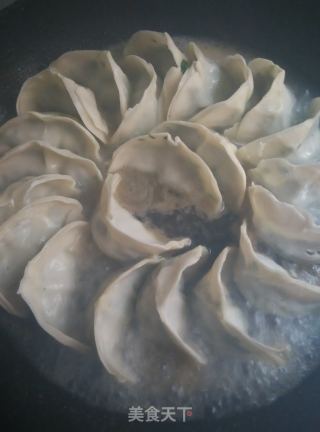 煎饺的做法步骤：4