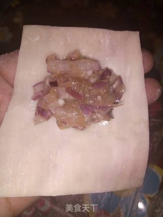 洋葱馄饨的做法步骤：6