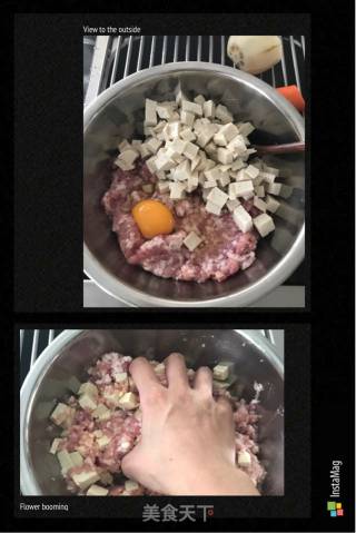 豆腐蔬菜丸子的做法步骤：2