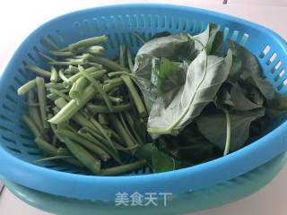 蒜泥空心菜的做法步骤：5