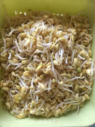 香喷黄金黄豆芽的做法步骤：2