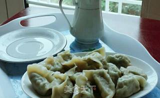 皮薄不破茴香大馅饺子的做法步骤：12