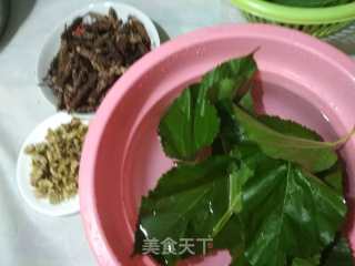 夏桑菊的做法步骤：4