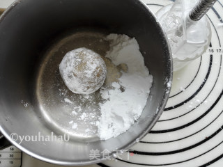 广式蛋黄月饼的做法步骤：10