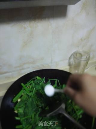 清炒南瓜苗的做法步骤：7