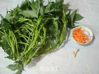 清炒薯叶的做法步骤：1