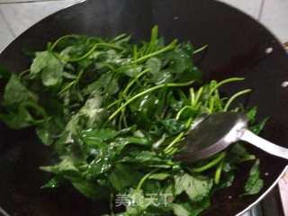 清炒薯叶的做法步骤：4