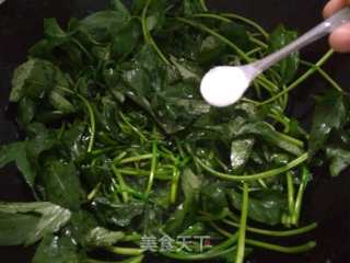 清炒薯叶的做法步骤：5