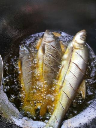 泡菜鱼泡烧河鱼的做法步骤：4