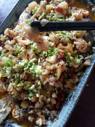 泡菜鱼泡烧河鱼的做法步骤：12