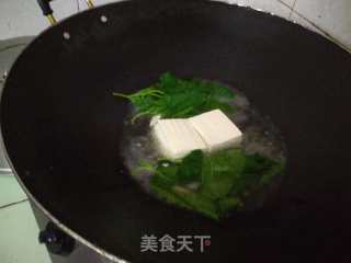 桑叶煮豆腐的做法步骤：4