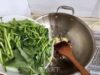 蒜末辣炒空心菜的做法步骤：5