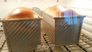 老面牛奶吐司的做法步骤：12