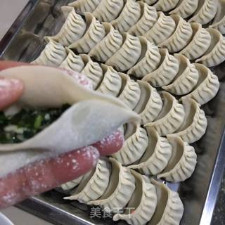 包饺子（猪肉油渣韭菜饺）的做法步骤：8