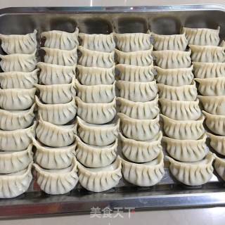 包饺子（猪肉油渣韭菜饺）的做法步骤：11