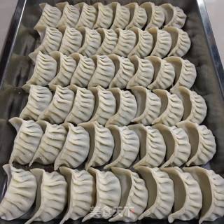 包饺子（猪肉油渣韭菜饺）的做法步骤：13
