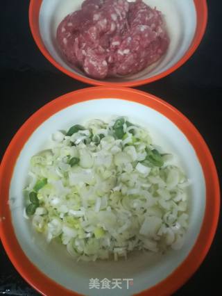 大葱猪肉包子的做法步骤：5