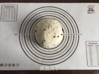 面包机版红枣果仁面包的做法步骤：7