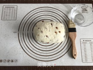面包机版红枣果仁面包的做法步骤：11