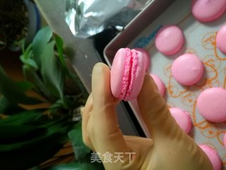 少女之梦马卡龙的做法步骤：16