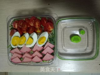 果蔬沙拉丨开学季，给你的宝宝一个鲜美的开始吧的做法步骤：5