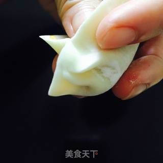 白菜猪肉饺子(附切法和包法）的做法步骤：10