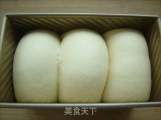 酸奶吐司的做法步骤：10