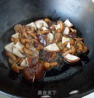 小白菜烩蘑菇的做法步骤：6