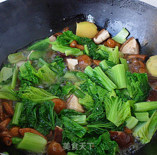 小白菜烩蘑菇的做法步骤：8
